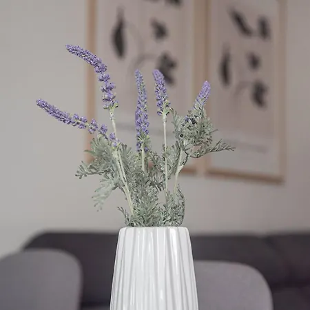 Messinian Moon Kalamata