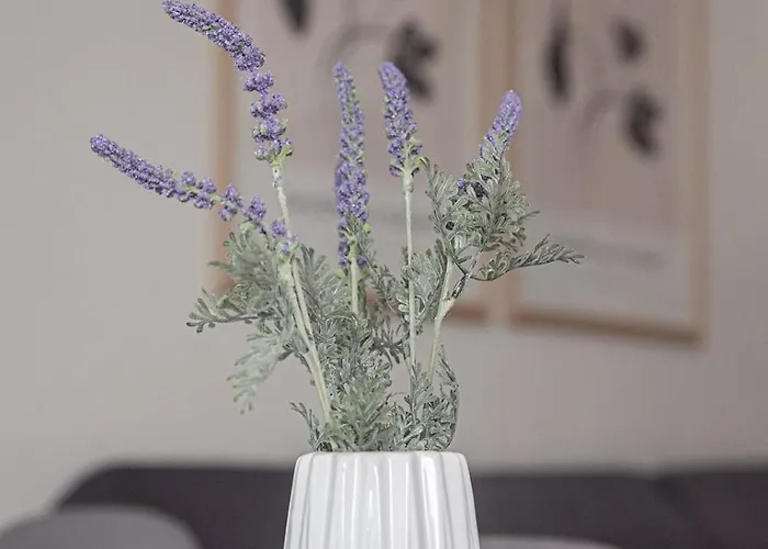 Messinian Moon Calamata